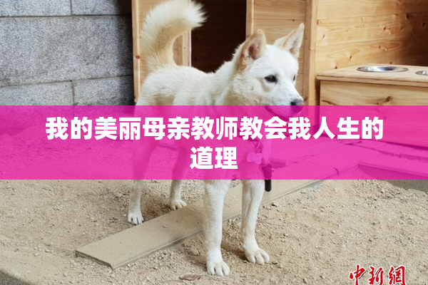 我的美丽母亲教师教会我人生的道理