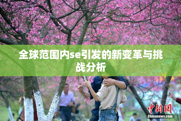 全球范围内se引发的新变革与挑战分析