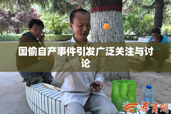 国偷自产事件引发广泛关注与讨论