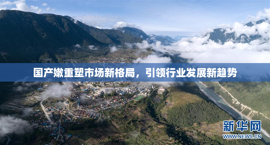 国产嫩重塑市场新格局，引领行业发展新趋势