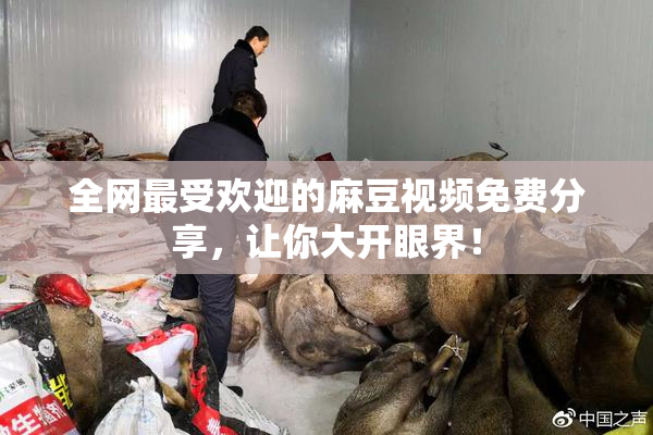 全网最受欢迎的麻豆视频免费分享，让你大开眼界！