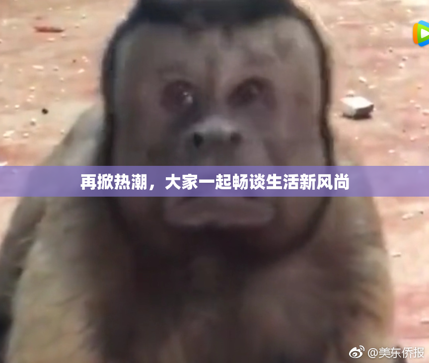 再掀热潮，大家一起畅谈生活新风尚