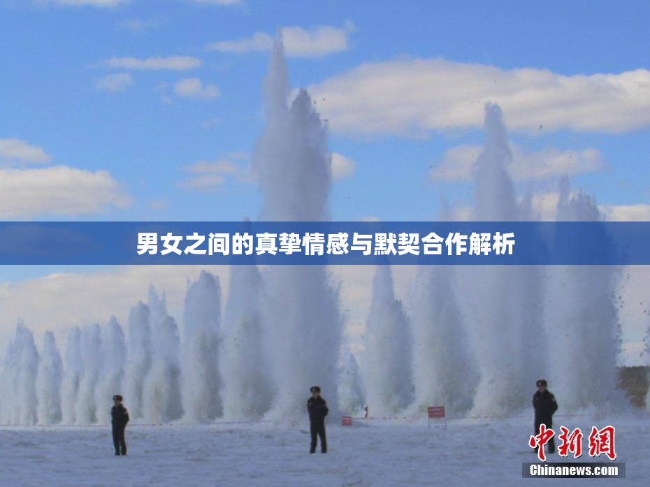 男女之间的真挚情感与默契合作解析