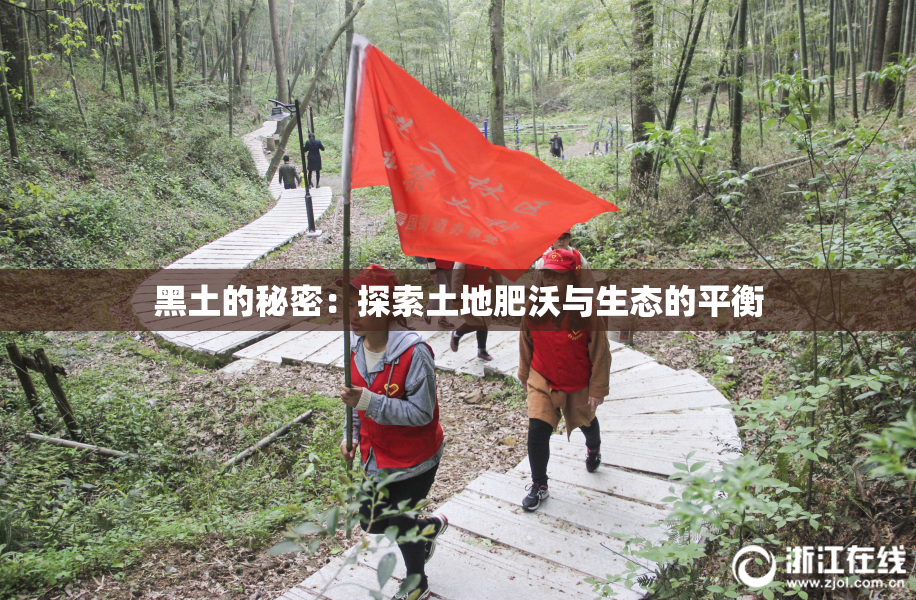 黑土的秘密：探索土地肥沃与生态的平衡