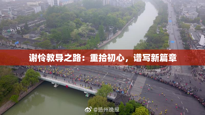 谢怜教导之路：重拾初心，谱写新篇章