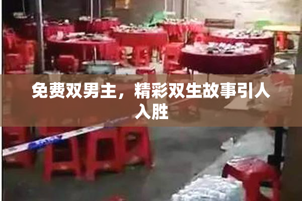 免费双男主，精彩双生故事引人入胜
