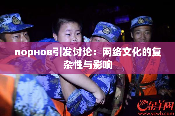 порнов引发讨论：网络文化的复杂性与影响