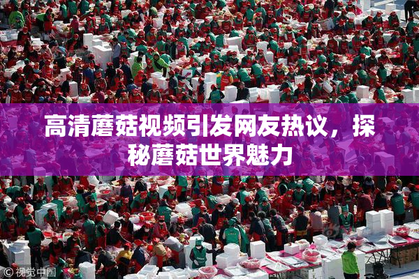 高清蘑菇视频引发网友热议，探秘蘑菇世界魅力