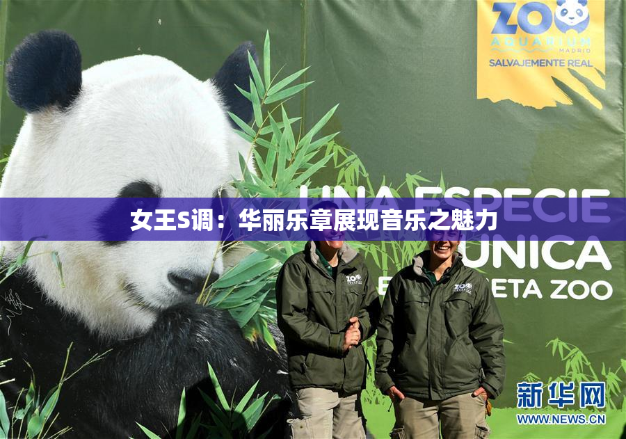 女王S调：华丽乐章展现音乐之魅力
