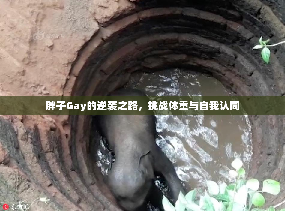胖子Gay的逆袭之路，挑战体重与自我认同