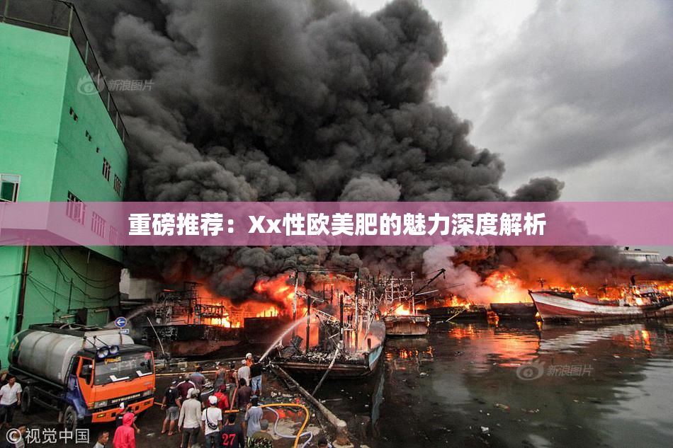 重磅推荐：Xx性欧美肥的魅力深度解析