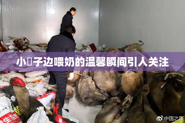 小峓子边喂奶的温馨瞬间引人关注