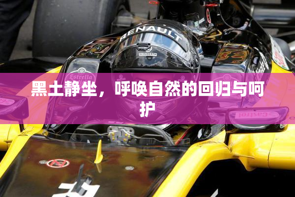 黑土静坐，呼唤自然的回归与呵护