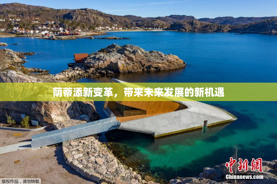 荫蒂添新变革，带来未来发展的新机遇