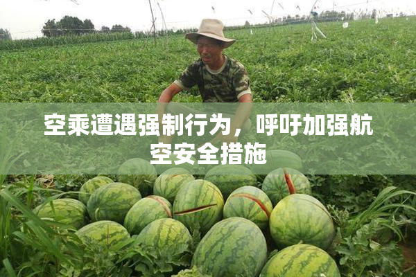 空乘遭遇强制行为，呼吁加强航空安全措施