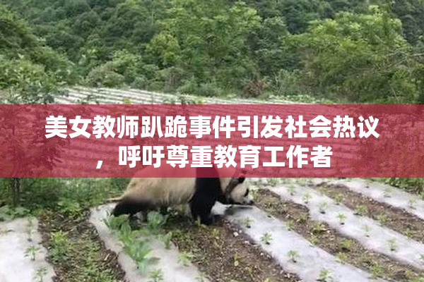 美女教师趴跪事件引发社会热议，呼吁尊重教育工作者