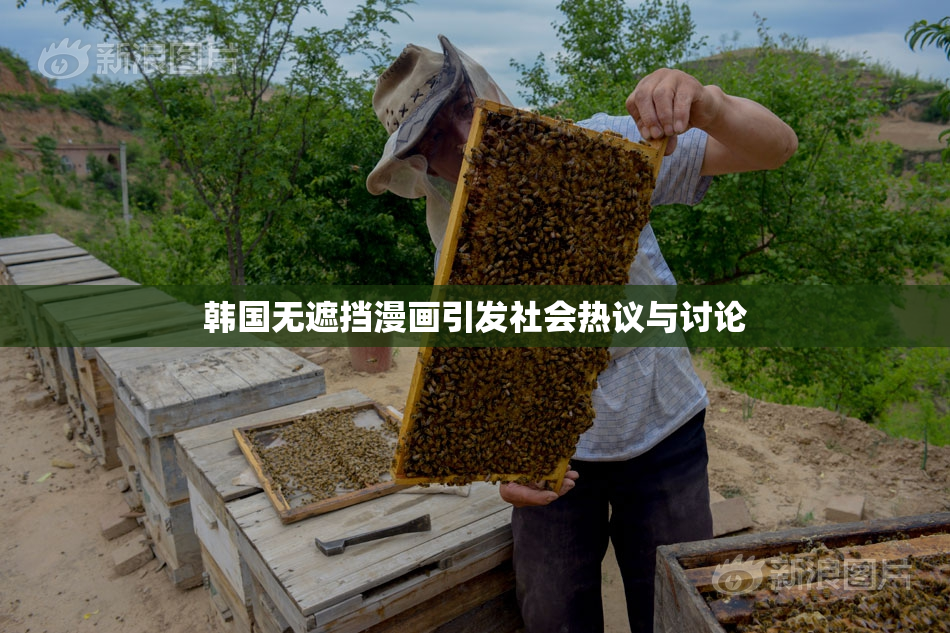 韩国无遮挡漫画引发社会热议与讨论