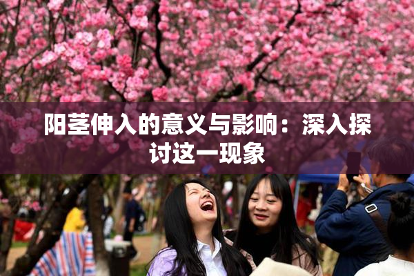 阳茎伸入的意义与影响：深入探讨这一现象