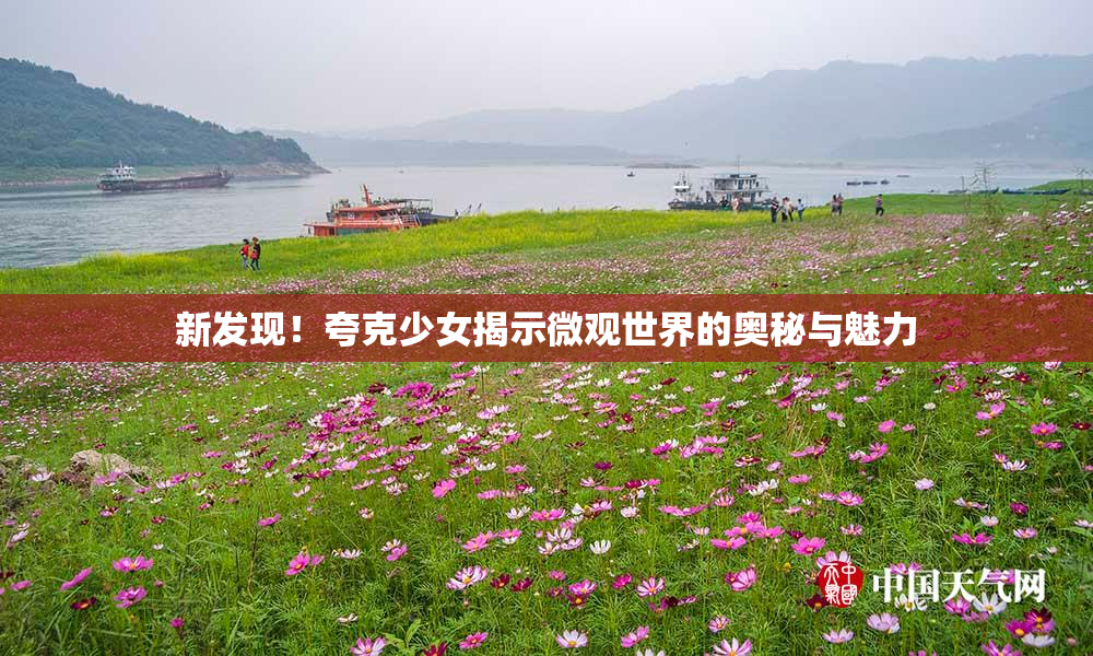 新发现！夸克少女揭示微观世界的奥秘与魅力