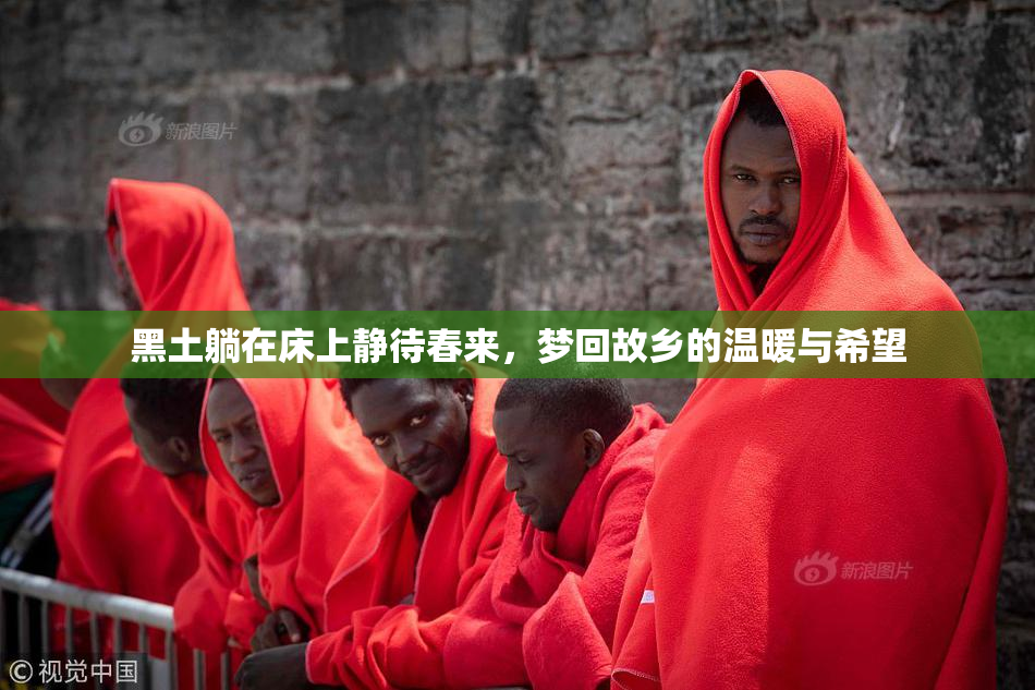 黑土躺在床上静待春来，梦回故乡的温暖与希望