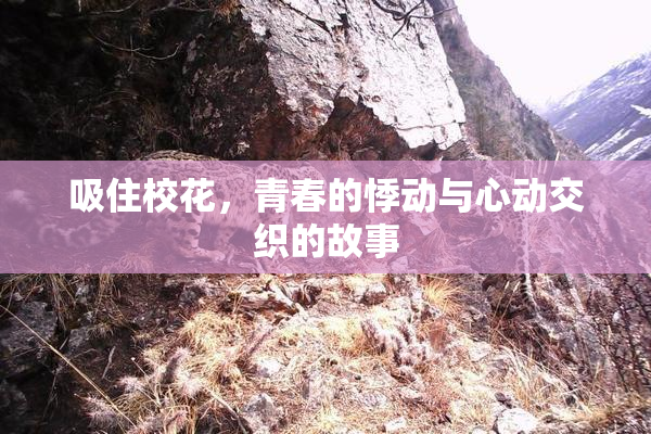 吸住校花，青春的悸动与心动交织的故事