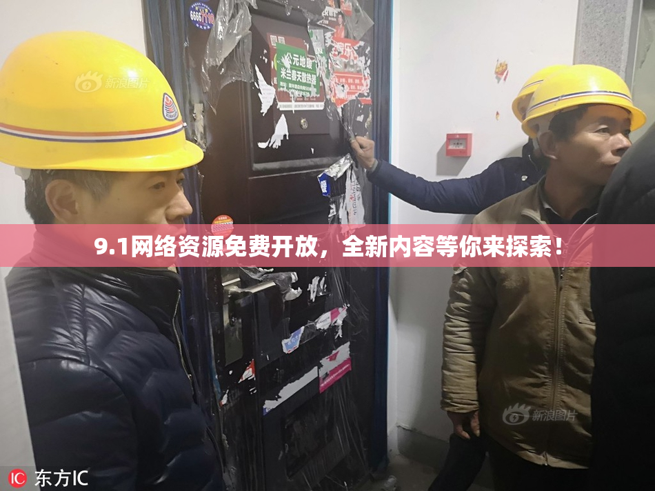 9.1网络资源免费开放，全新内容等你来探索！