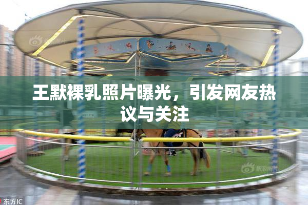 王默裸乳照片曝光，引发网友热议与关注