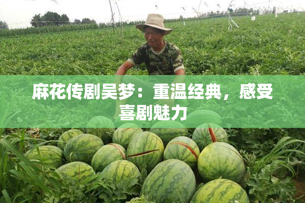 麻花传剧吴梦：重温经典，感受喜剧魅力