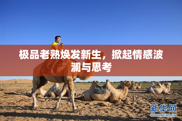 极品老熟焕发新生，掀起情感波澜与思考