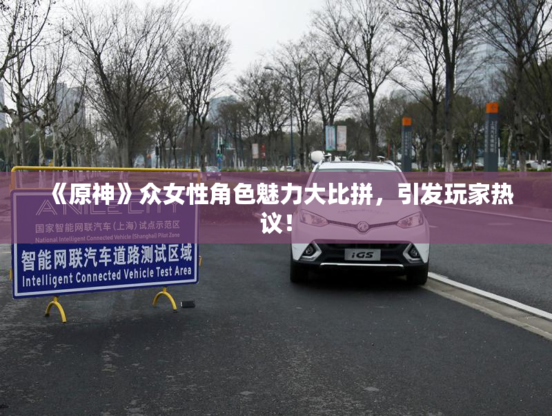 《原神》众女性角色魅力大比拼，引发玩家热议！