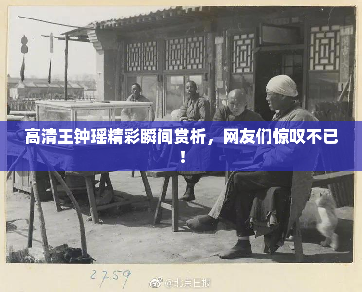 高清王钟瑶精彩瞬间赏析，网友们惊叹不已！
