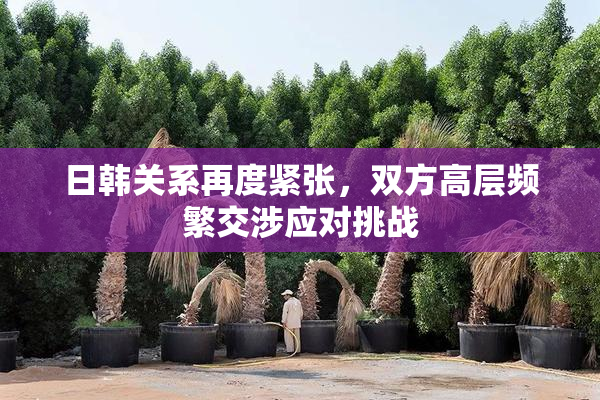 日韩关系再度紧张，双方高层频繁交涉应对挑战