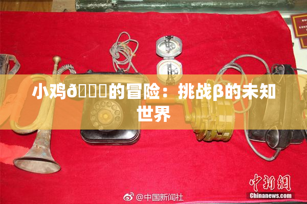 小鸡🐔的冒险：挑战β的未知世界
