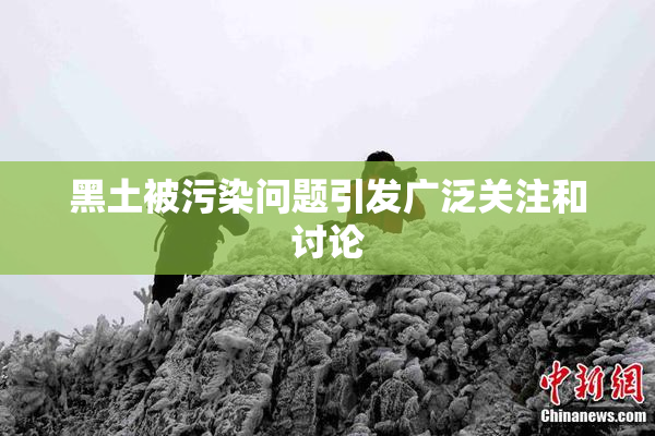 黑土被污染问题引发广泛关注和讨论