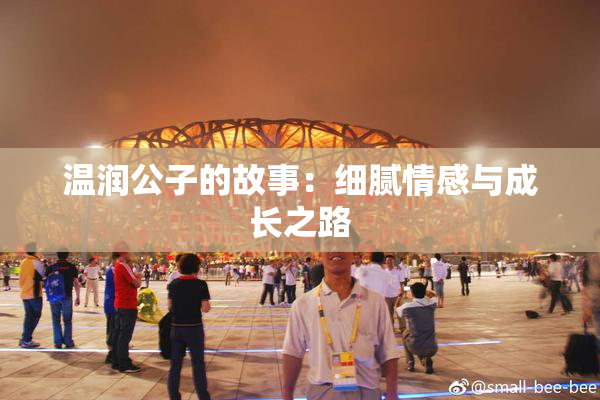 温润公子的故事：细腻情感与成长之路