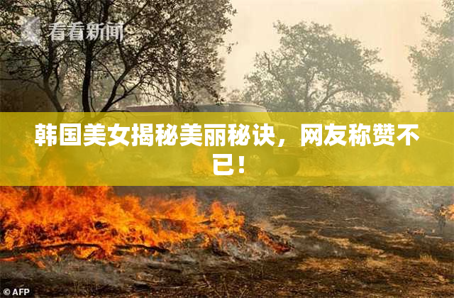 韩国美女揭秘美丽秘诀，网友称赞不已！