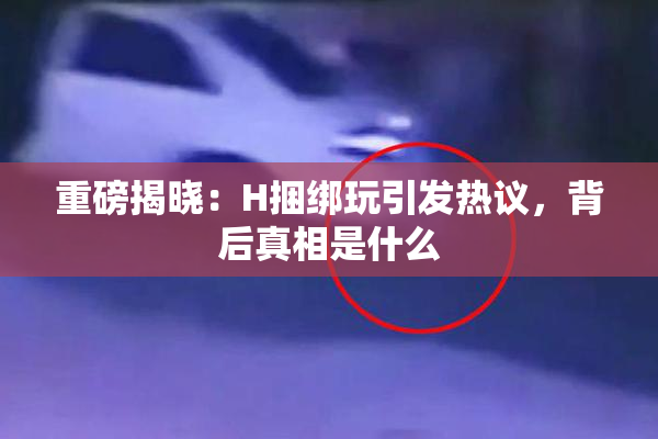 重磅揭晓：H捆绑玩引发热议，背后真相是什么