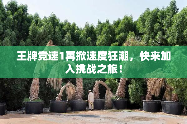 王牌竞速1再掀速度狂潮，快来加入挑战之旅！