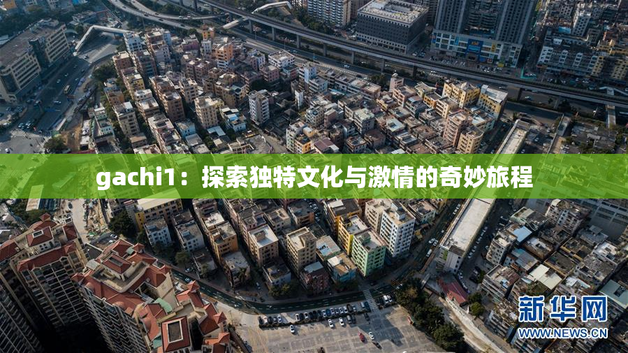 gachi1：探索独特文化与激情的奇妙旅程