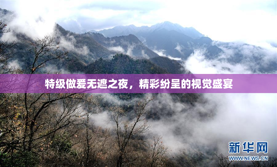 特级做爰无遮之夜，精彩纷呈的视觉盛宴