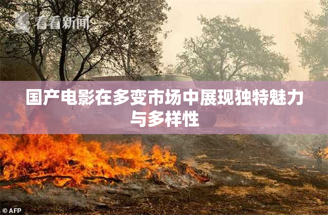 国产电影在多变市场中展现独特魅力与多样性