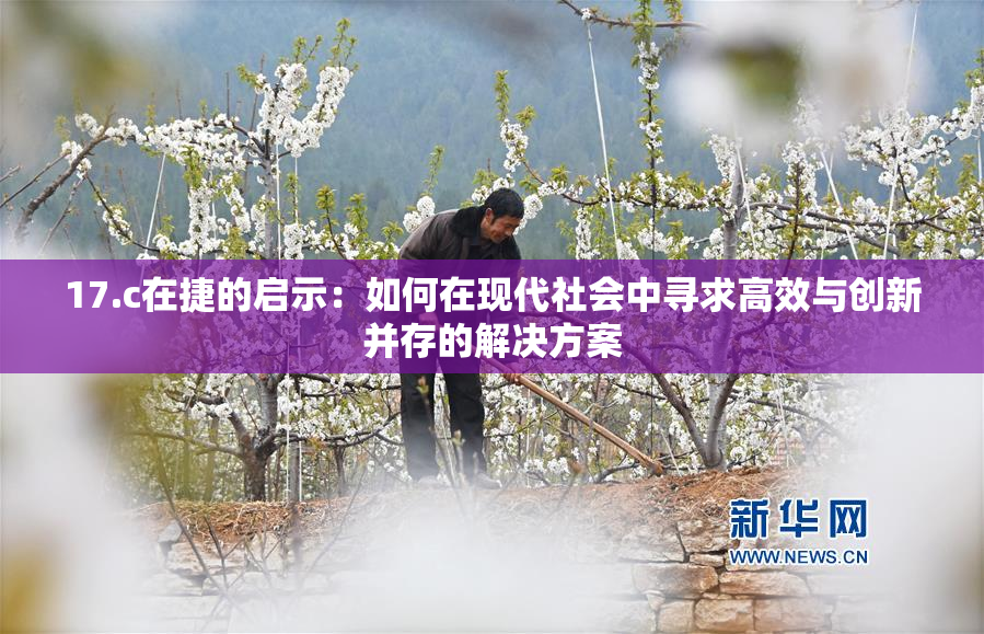 17.c在捷的启示：如何在现代社会中寻求高效与创新并存的解决方案