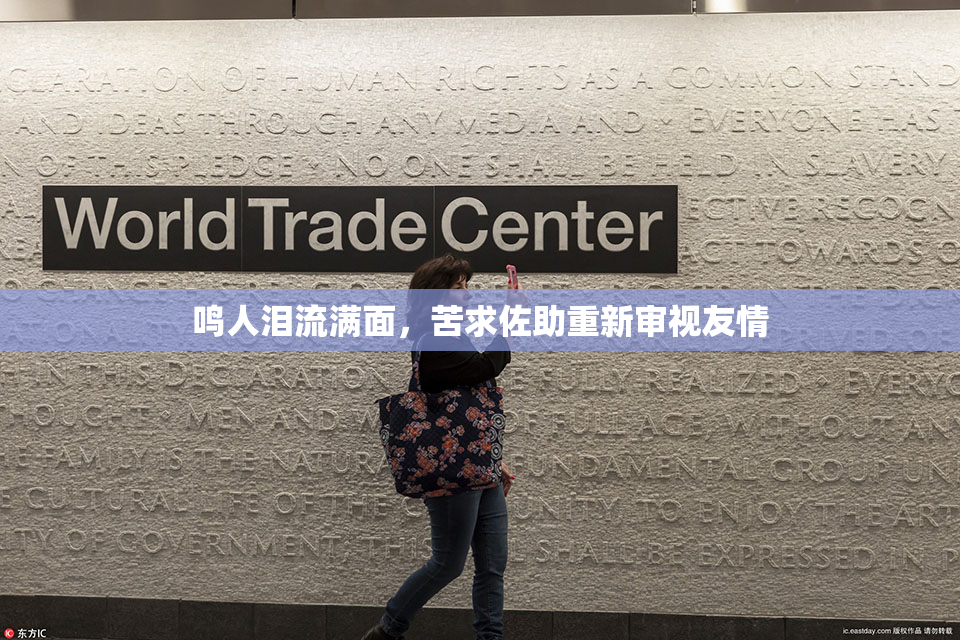鸣人泪流满面，苦求佐助重新审视友情