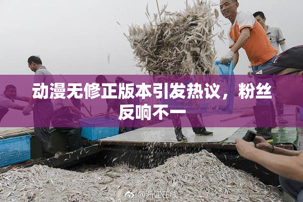 动漫无修正版本引发热议，粉丝反响不一
