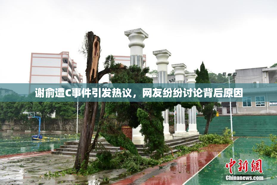 谢俞遭C事件引发热议，网友纷纷讨论背后原因