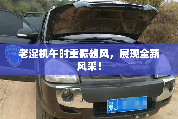 老湿机午时重振雄风，展现全新风采！