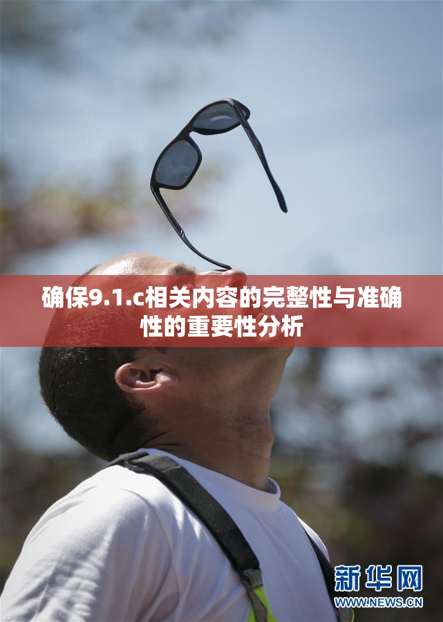 确保9.1.c相关内容的完整性与准确性的重要性分析