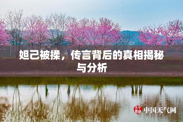 妲己被揉，传言背后的真相揭秘与分析