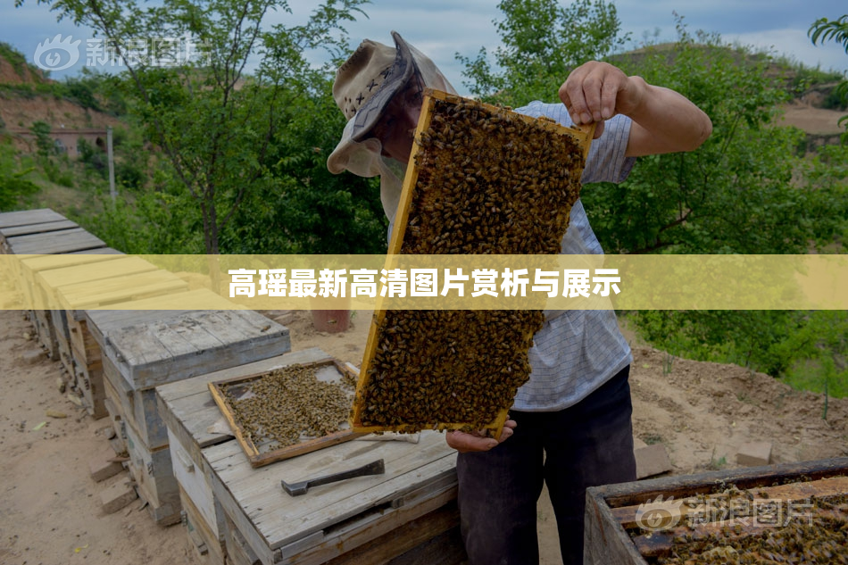 高瑶最新高清图片赏析与展示