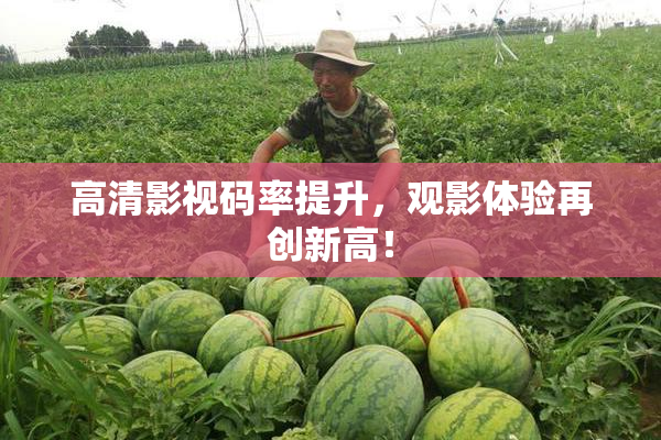 高清影视码率提升，观影体验再创新高！